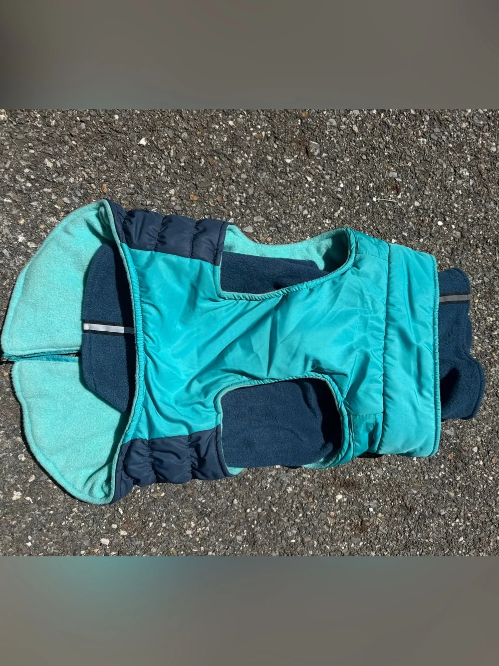 Good2Go Teal and Navy Dog Coat